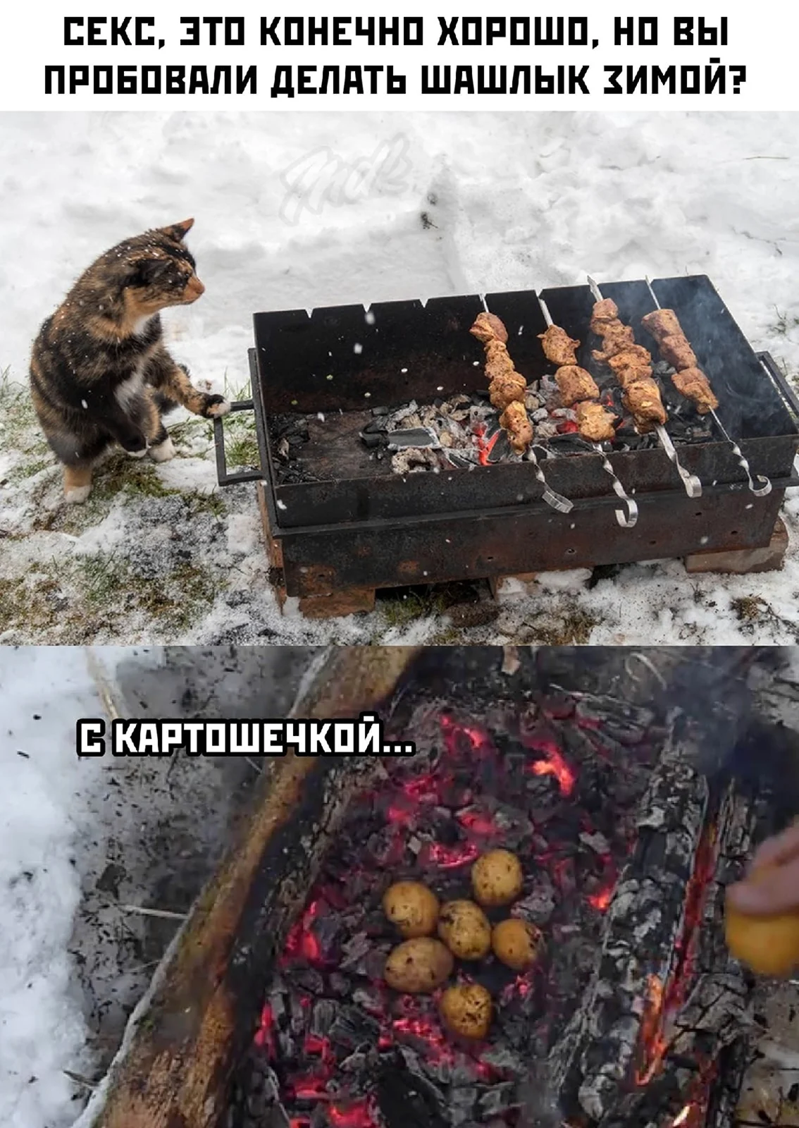 Шашлык зимой прикол