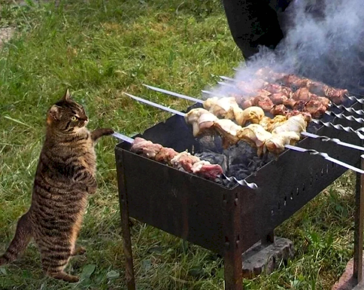 Шашлыки на даче