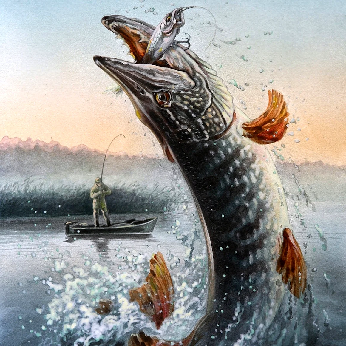 Щука из воды
