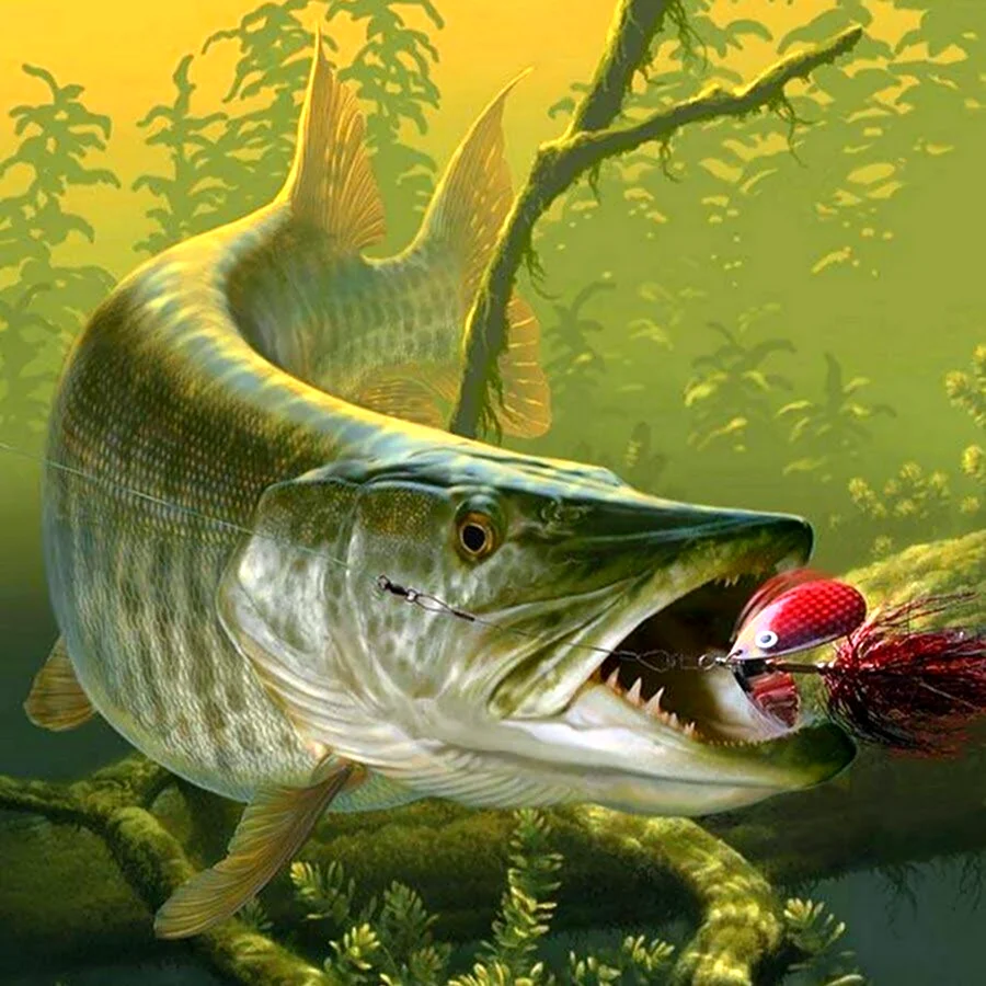 Щука хищная рыба