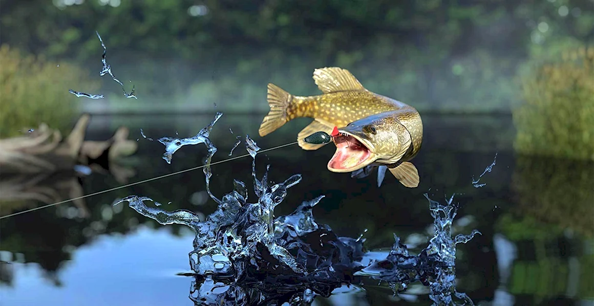 Щукожор Fishing Planet