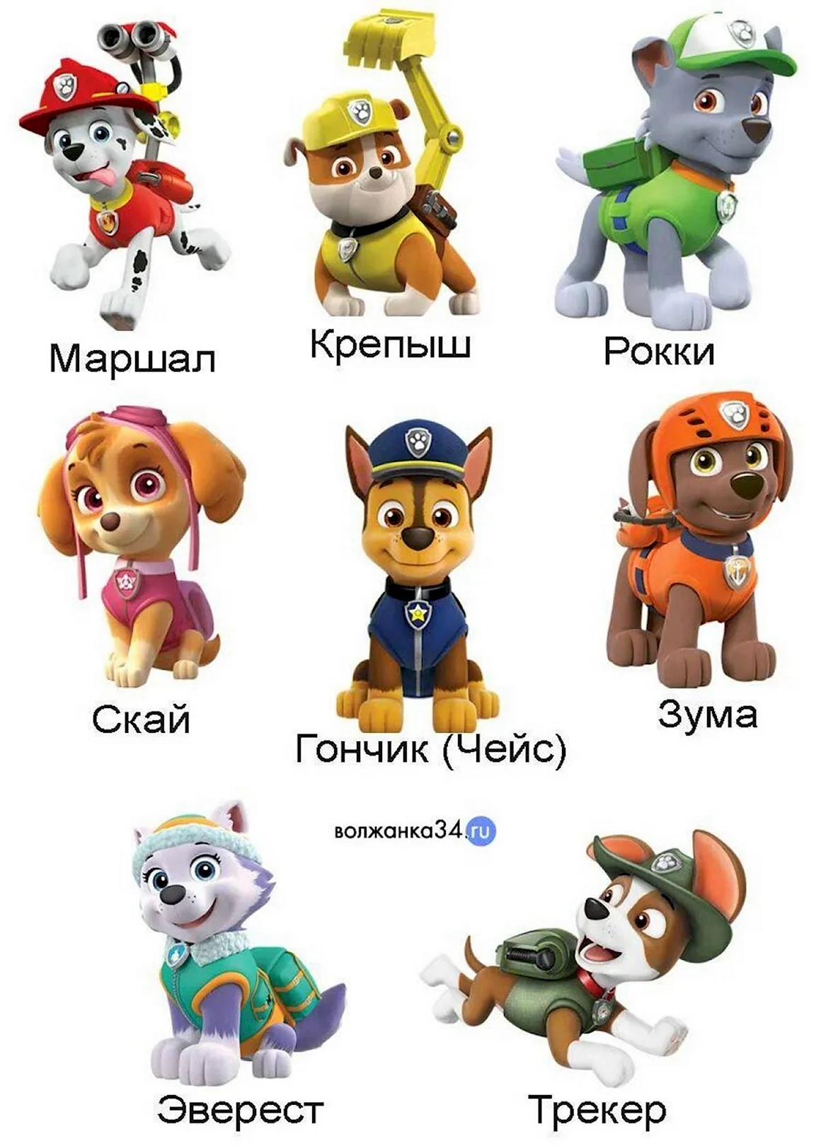 Шенячийпатруль герои имена