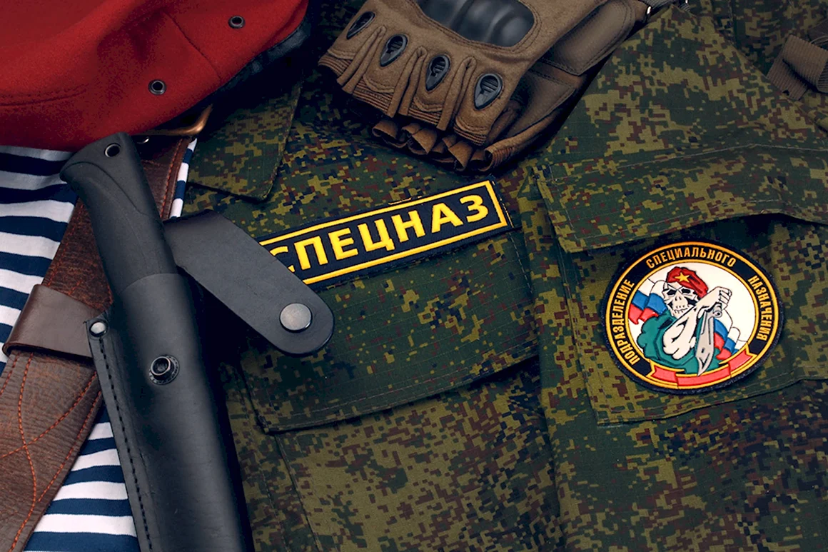 Шеврон 6 осн Витязь