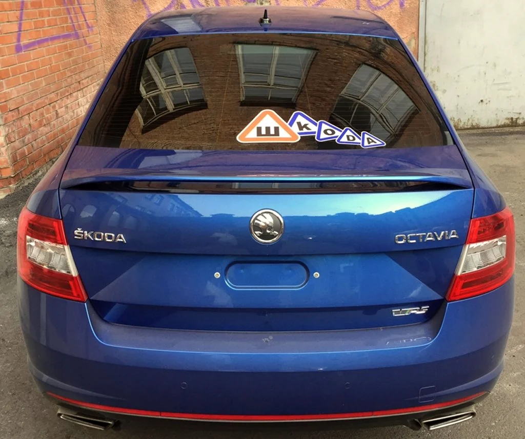 Шkoda 100