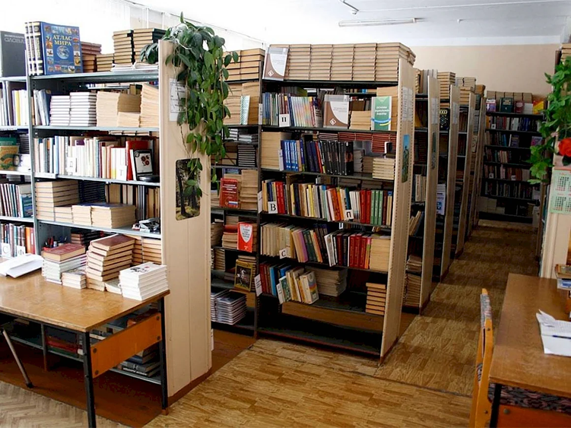 Школьная библиотека