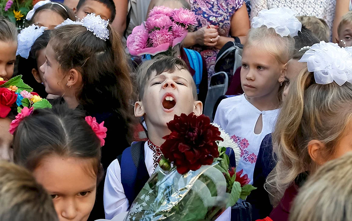 Школьники на линейке
