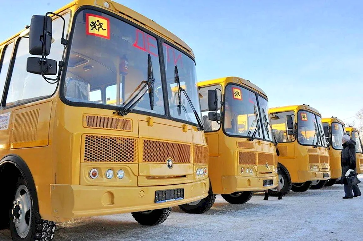 Школьный автобус