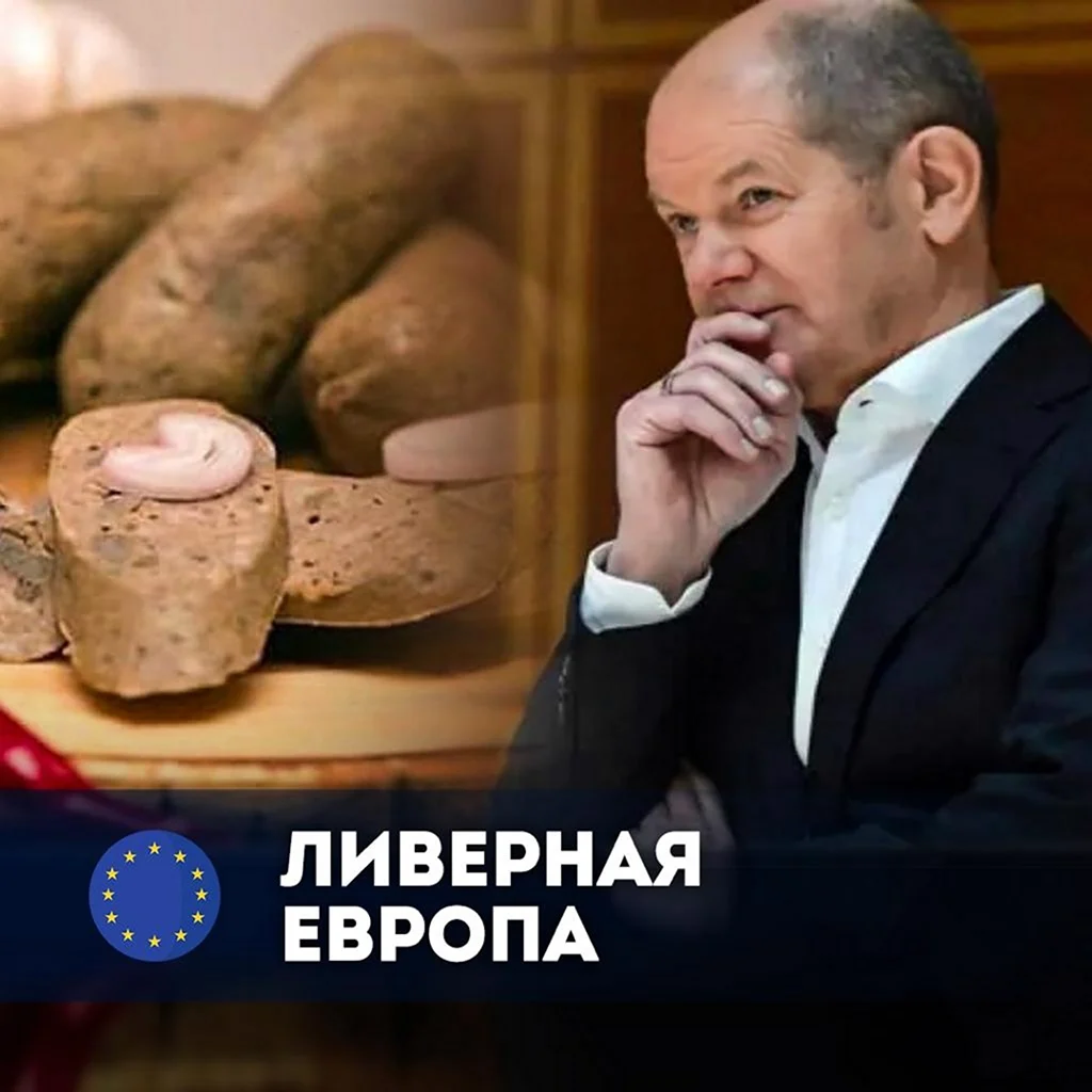 Шольц канцлер колбаса