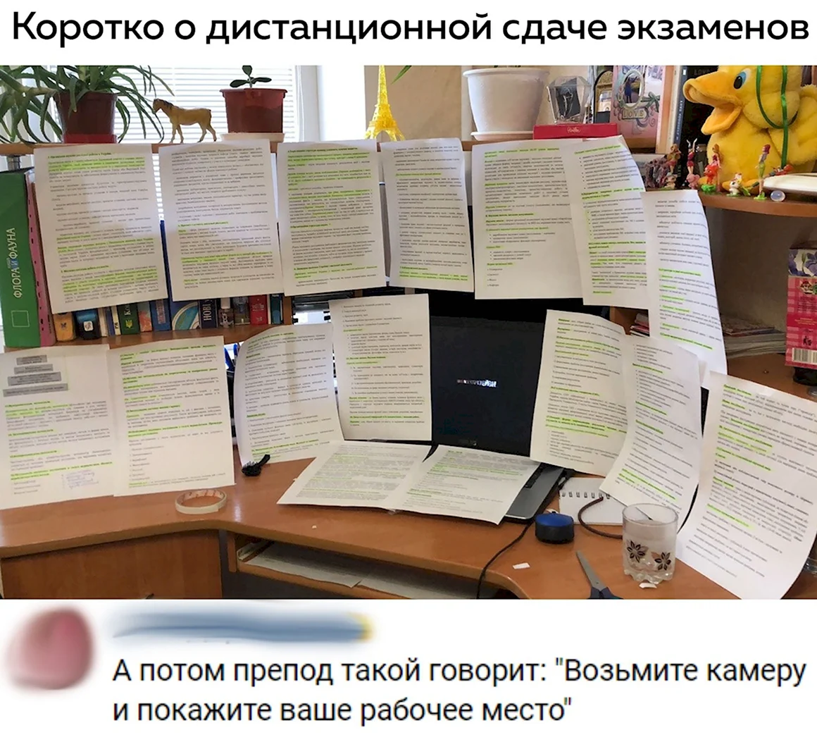 Шпаргалка на экзамен дистанционно