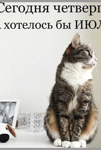 Шутки про четверг
