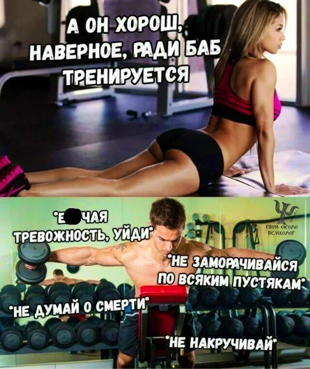 Шутки про тренировки