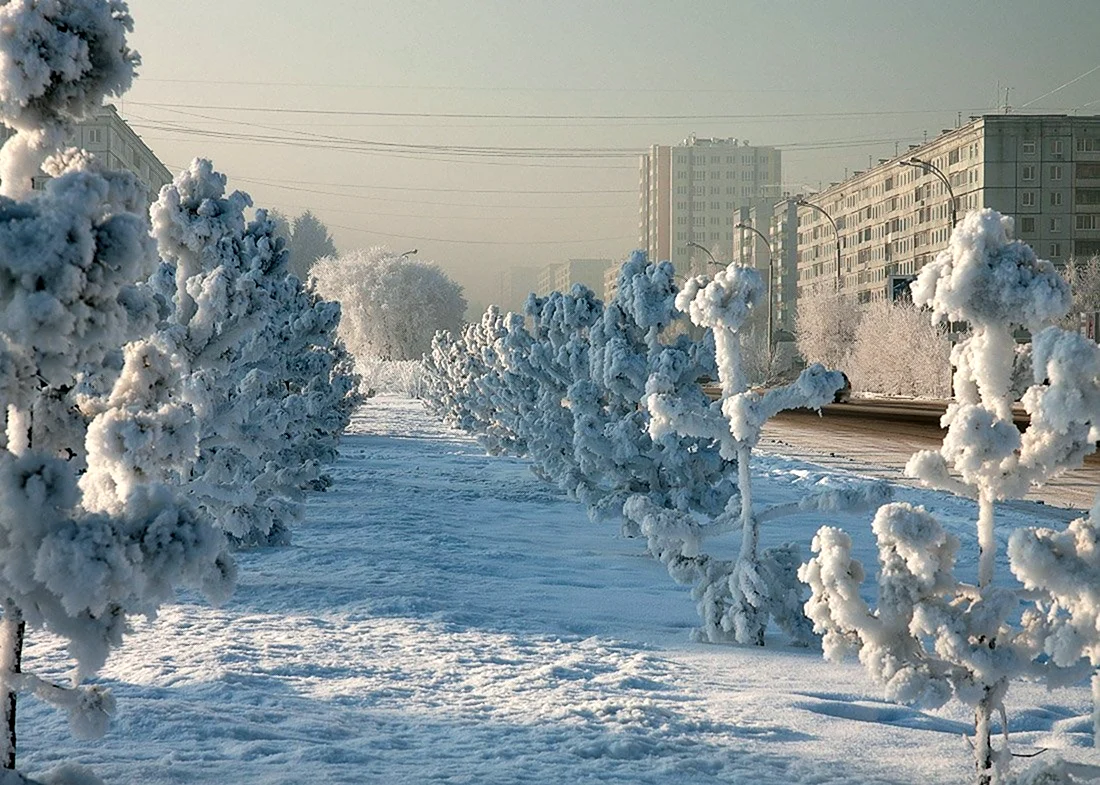 Сильный Мороз