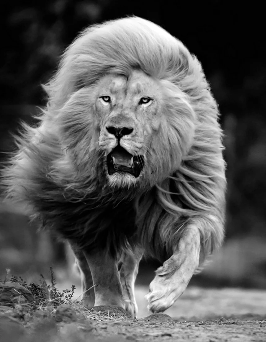 Simon Needham фотограф