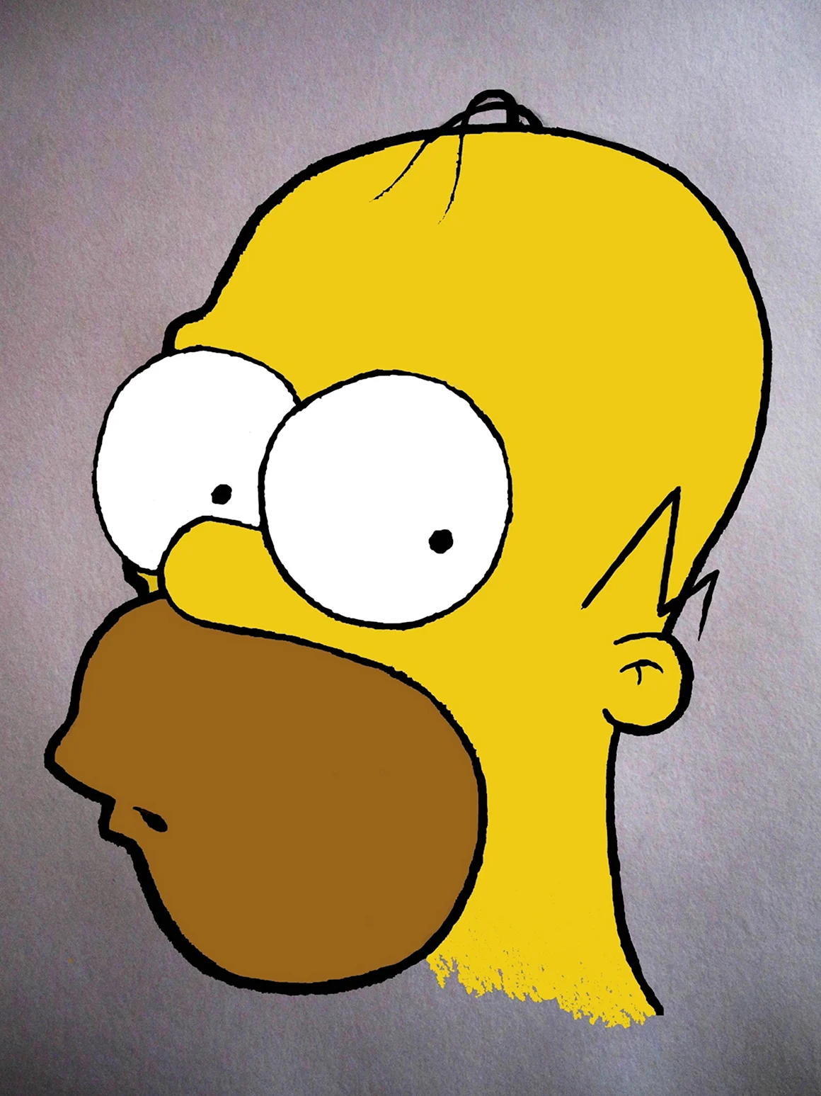 Симпсоны Homer