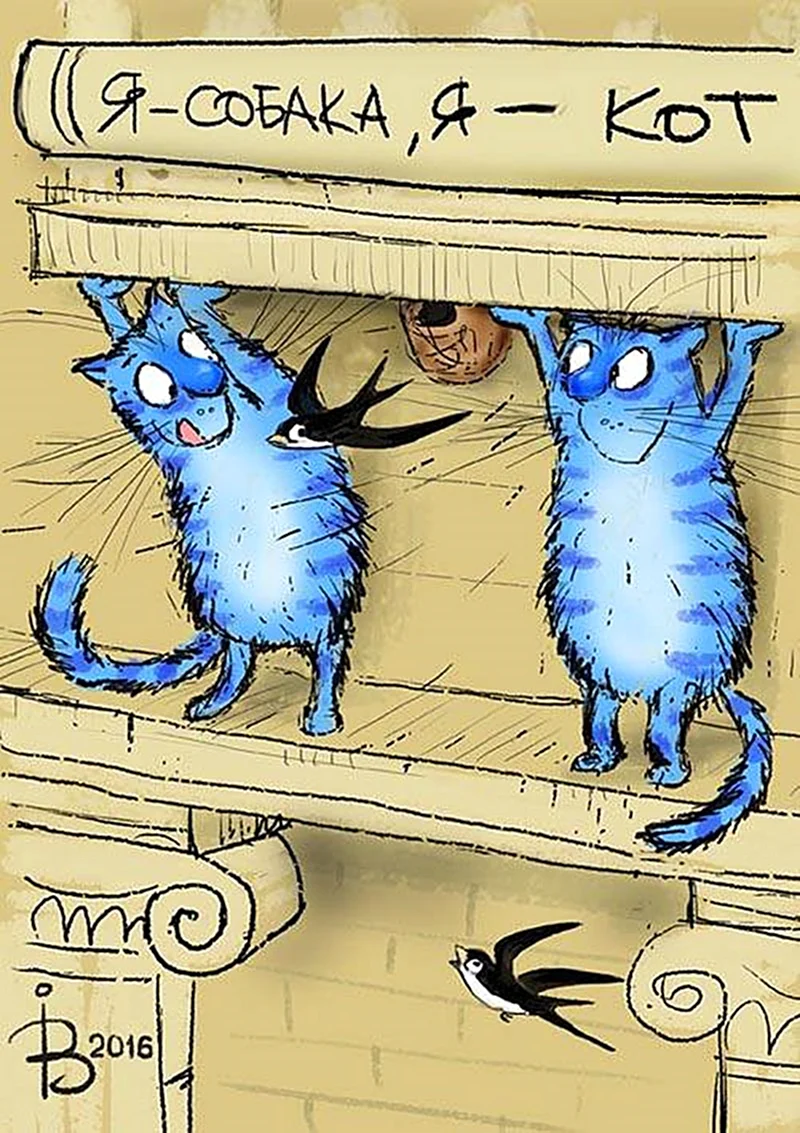 Синие коты и пятница