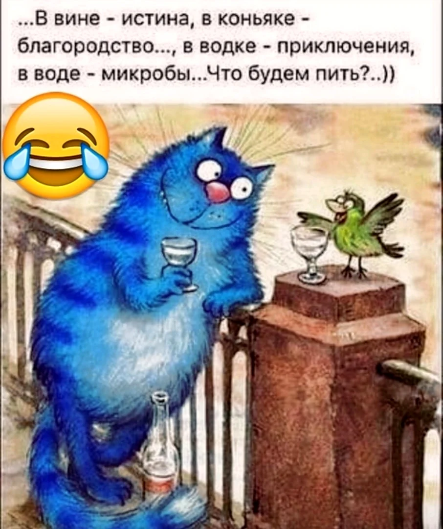 Синие коты Ирины