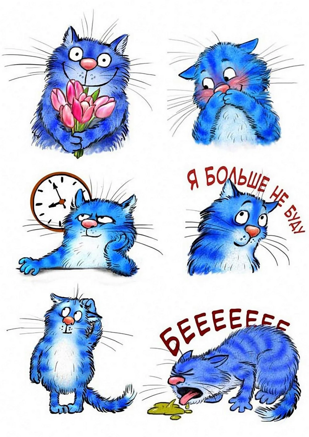Синие коты Зенюк 2020