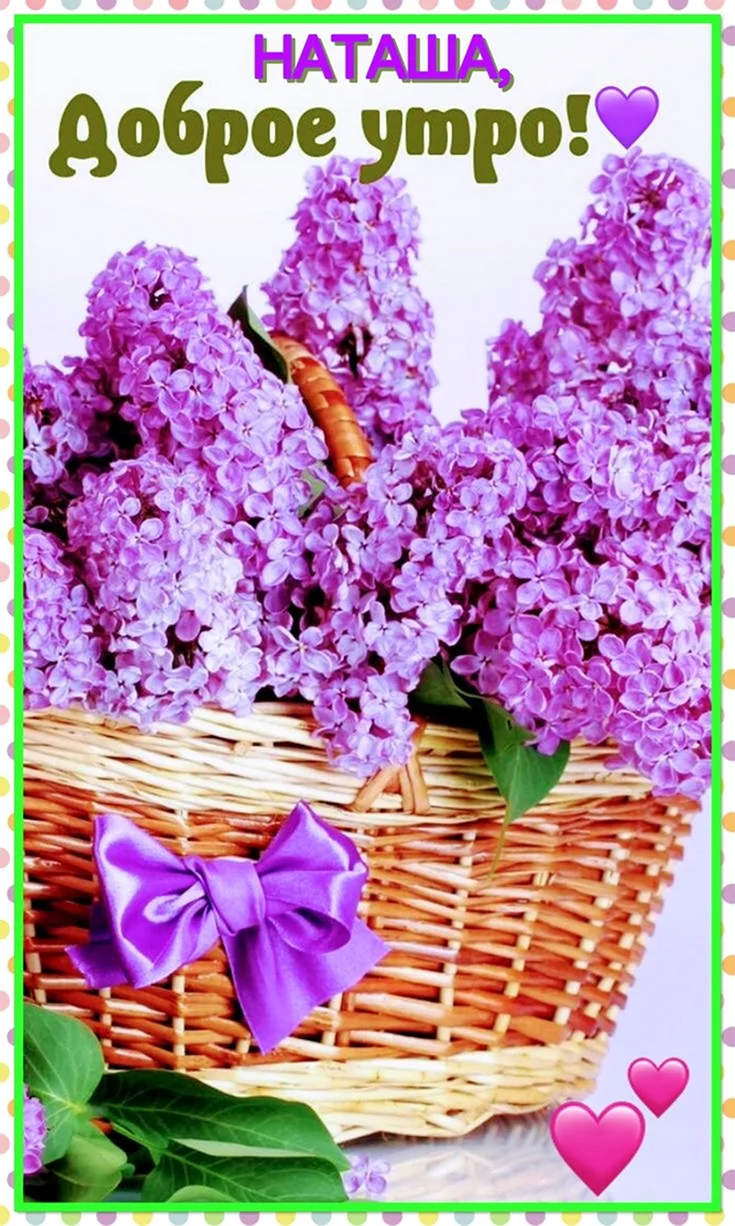Сирень