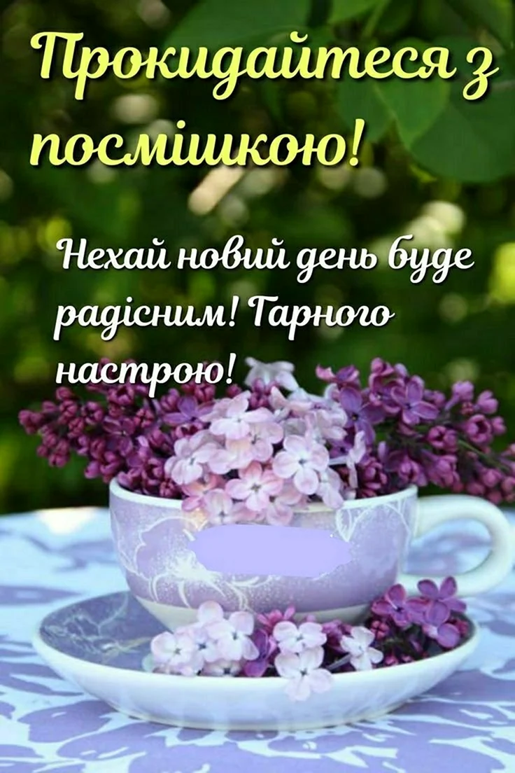 Сирень чаепитие