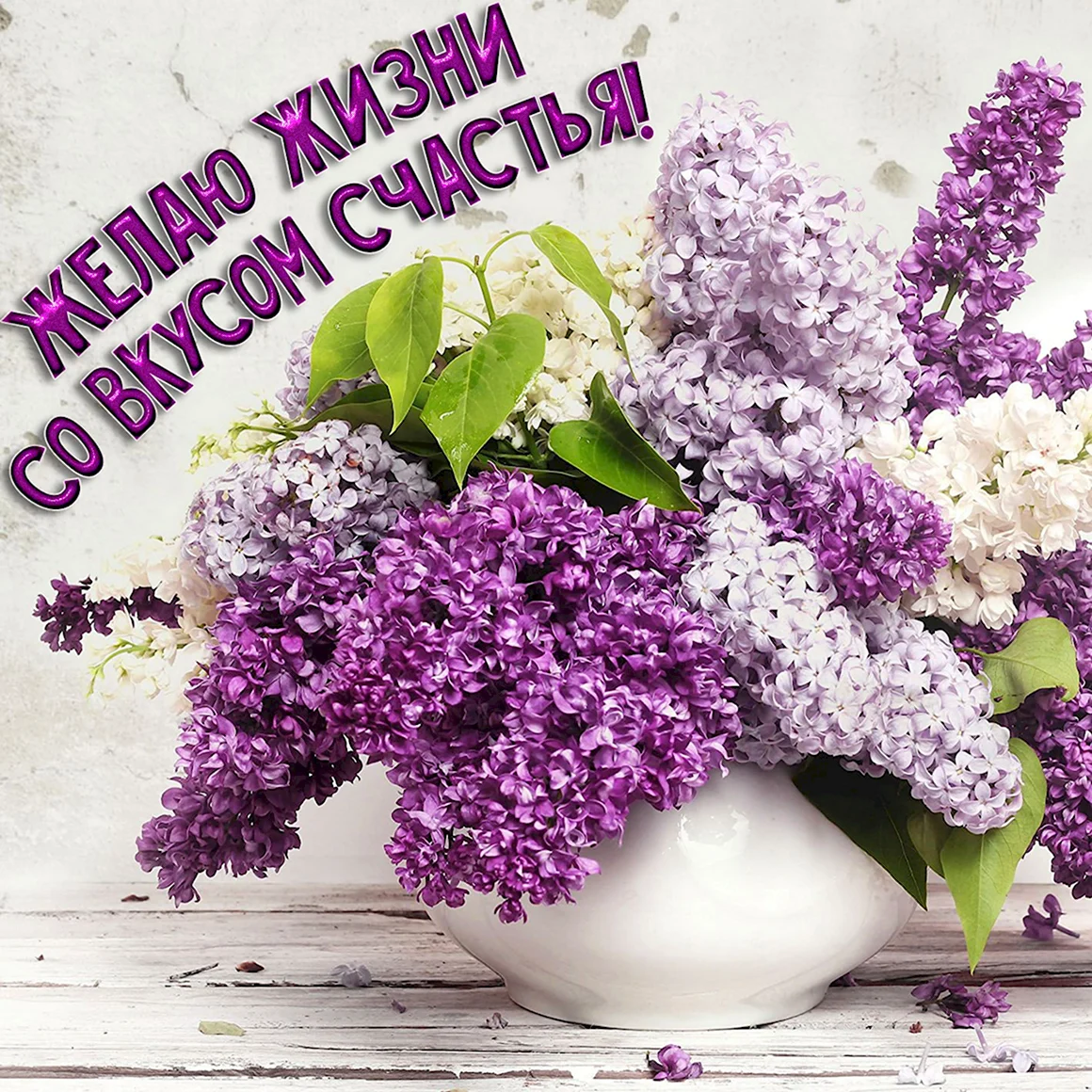 Сирень Кэнди Роуз