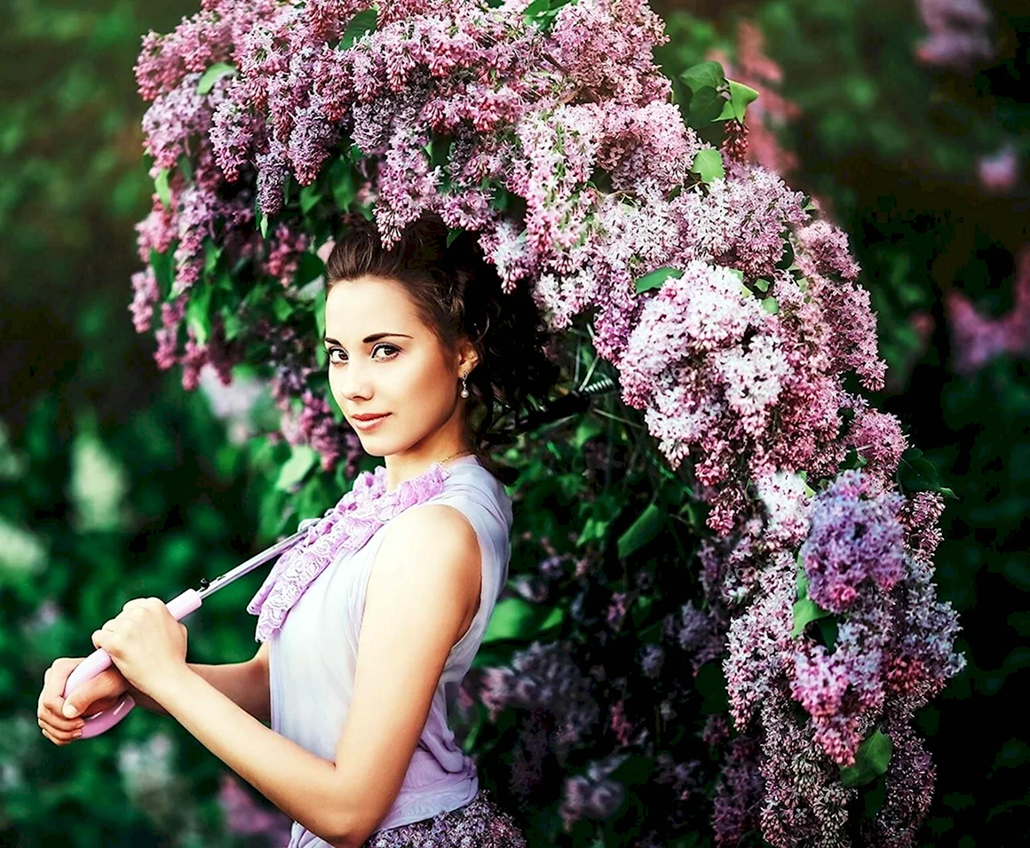 Сирень леди Линдсей