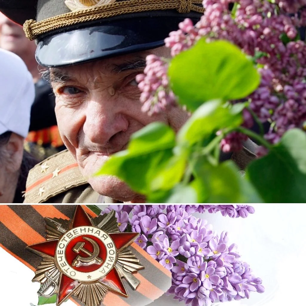 Сирень Победы 1945
