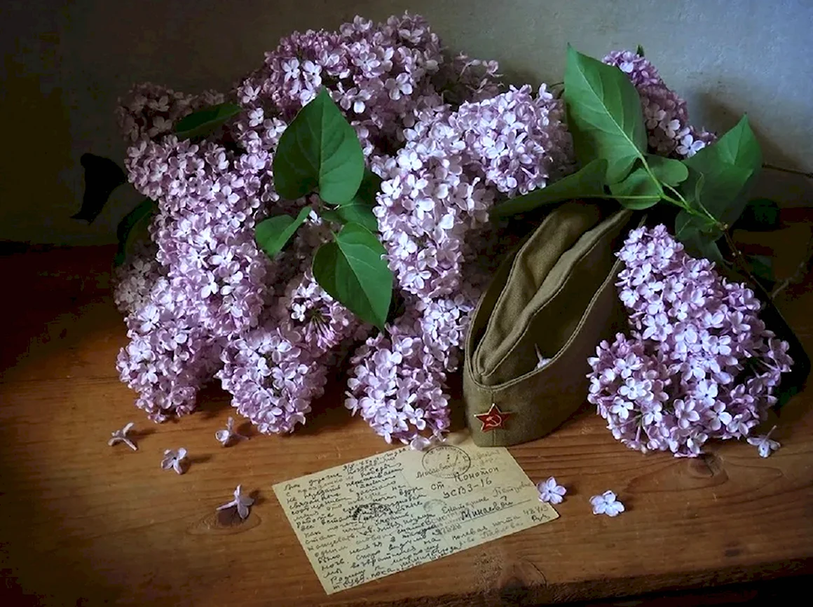 Сирень Победы 1945