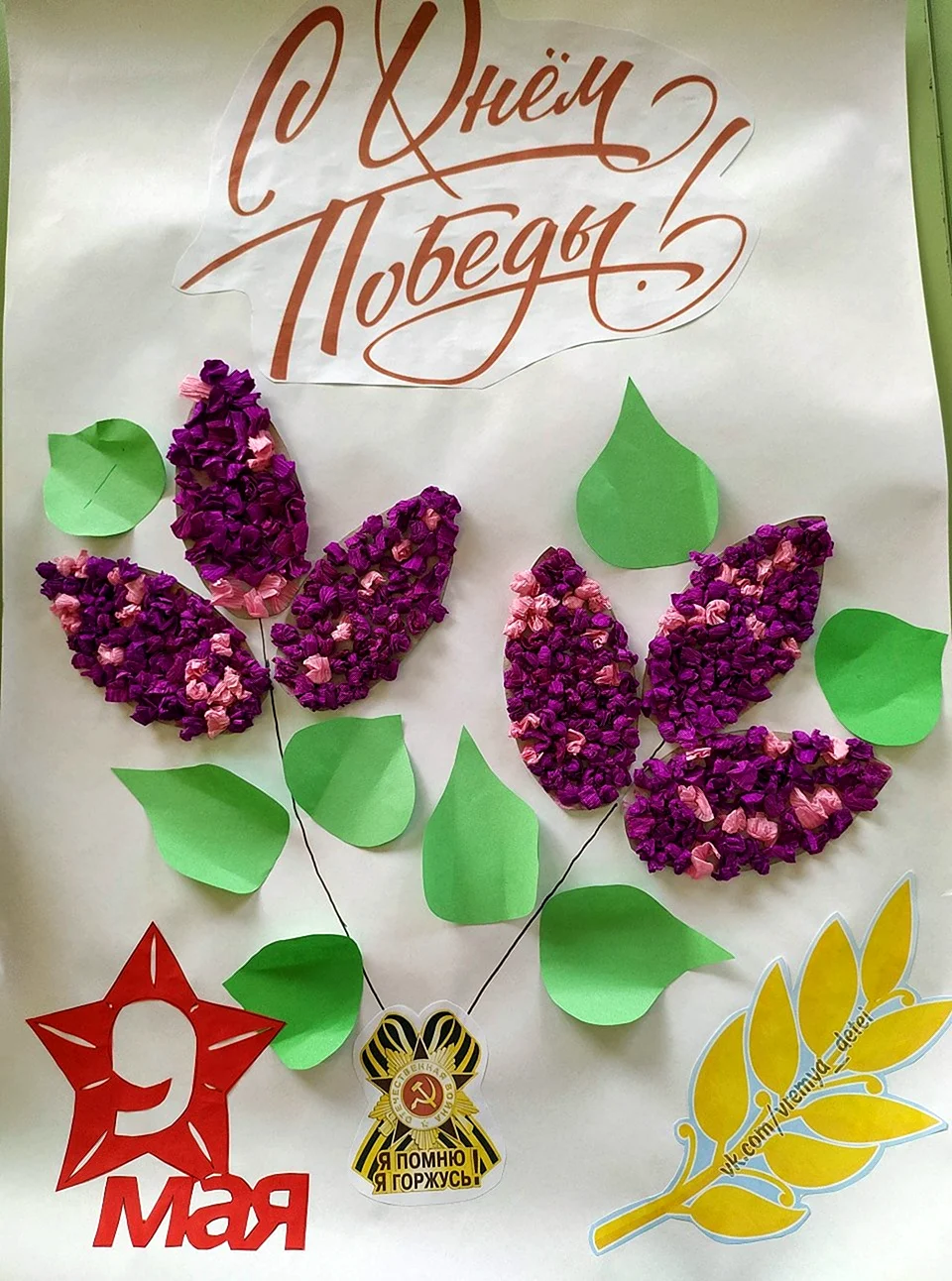 Сирень Победы рисунок