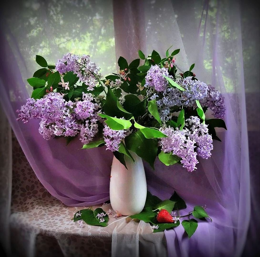 Сирень в Кусково