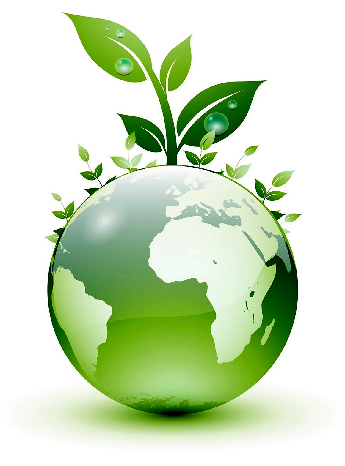 Система экологического менеджмента ISO 14001