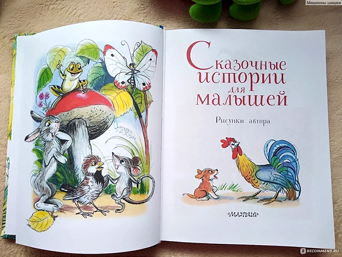 Сказки в. Сутеева