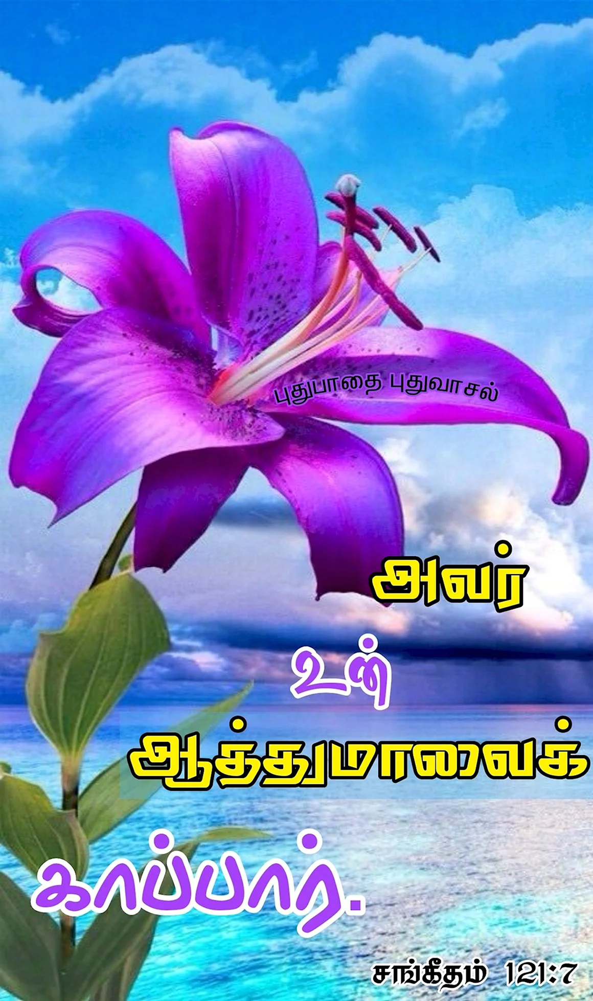 Сказочные цветы