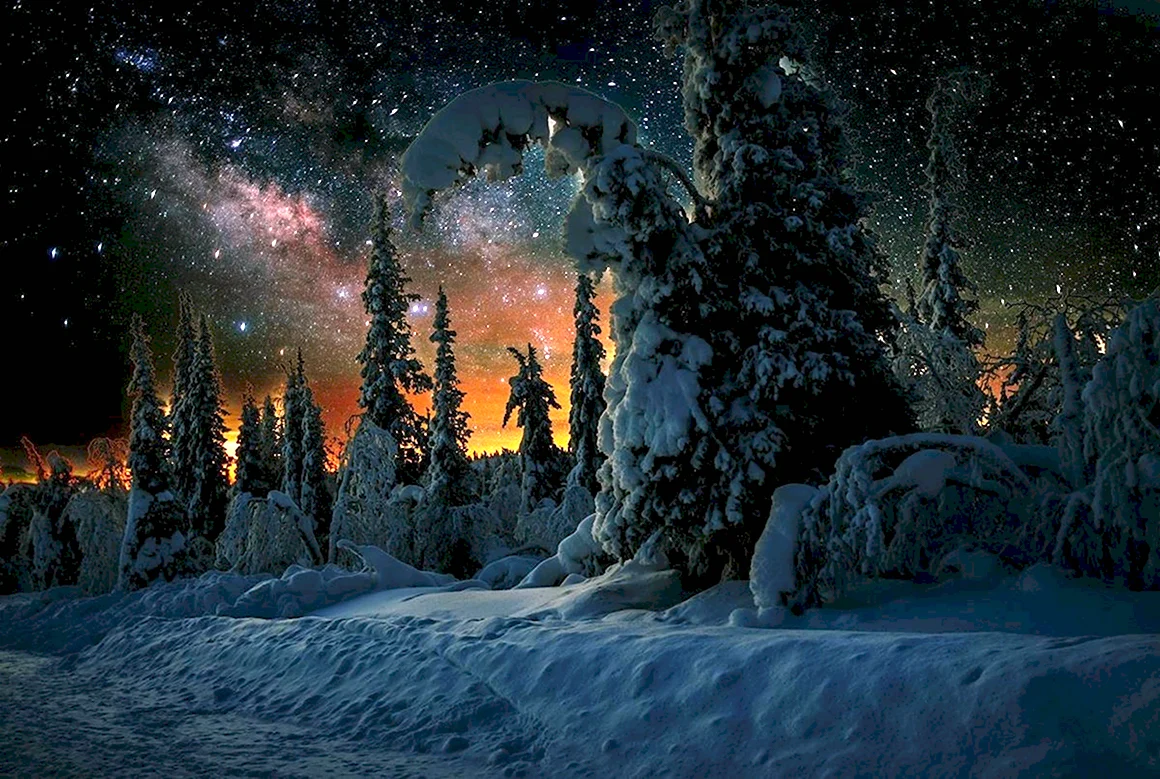 Сказочный зимний лес