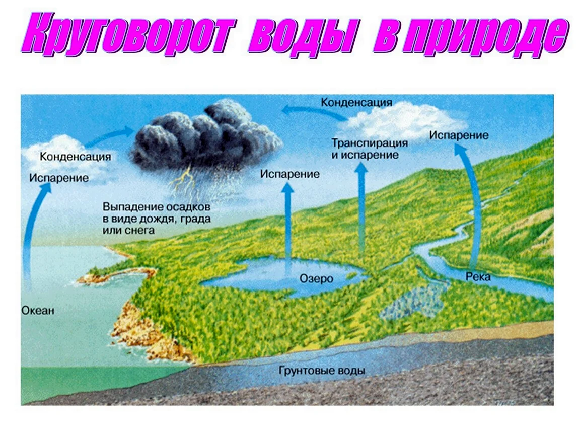 Схема процесса испарения воды