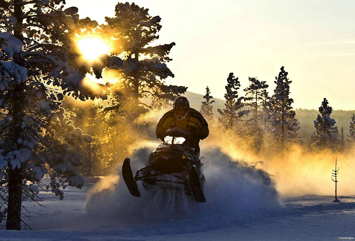 Ski Doo обои
