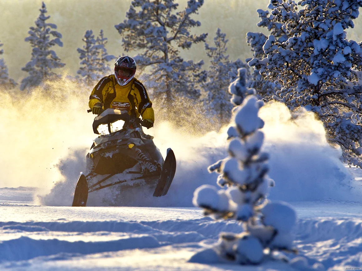 Ski Doo Tundra 600