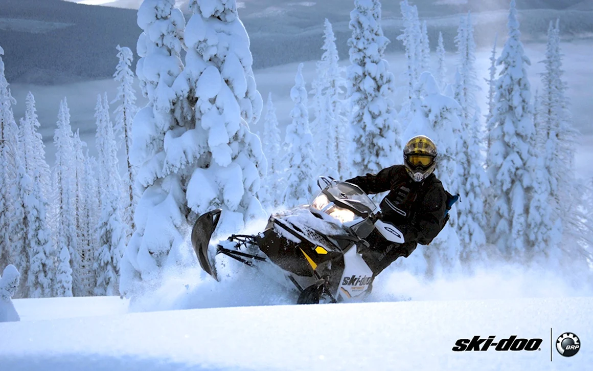 Ski-Doo снегоход в лесу