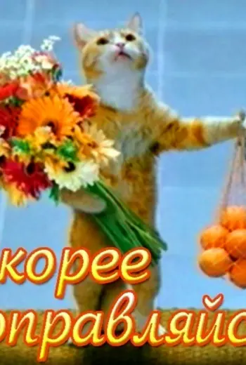 Скорейшего выздоровления