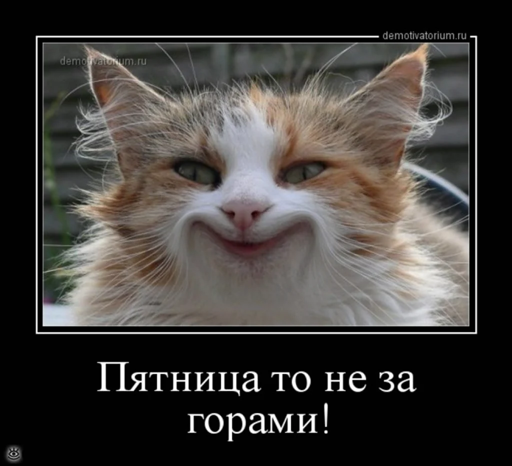 Скоро пятница