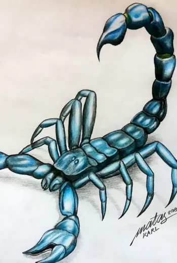 Скорпион арт