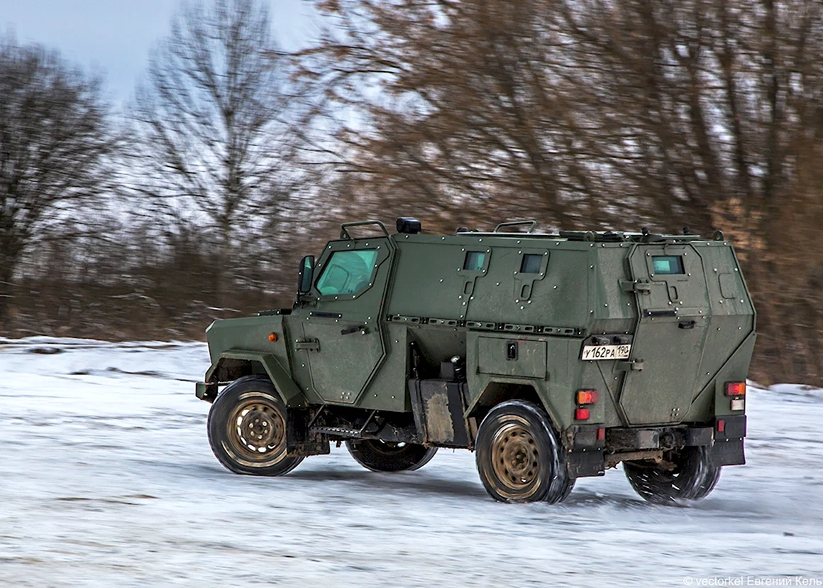 Скорпион ЛША-2б