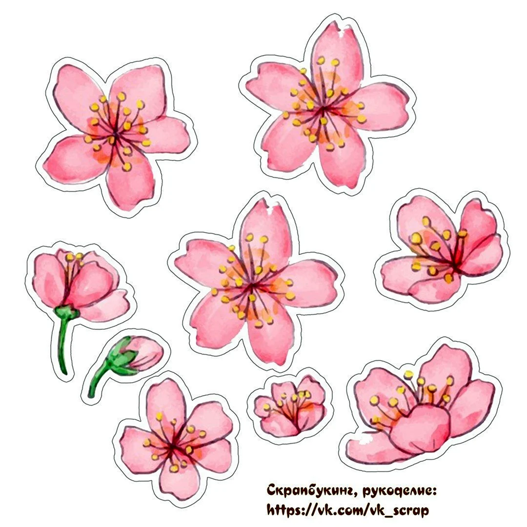 Скрапбукинг цветы для вырезания