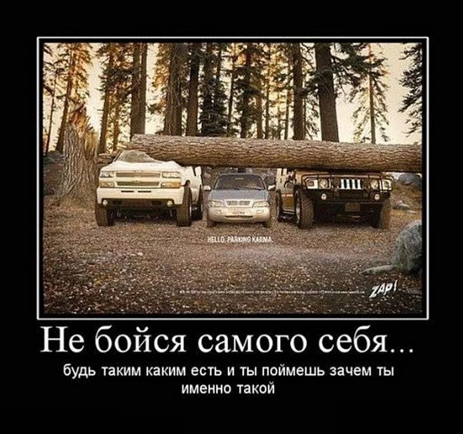 Скромность иногда щедро вознаграждается