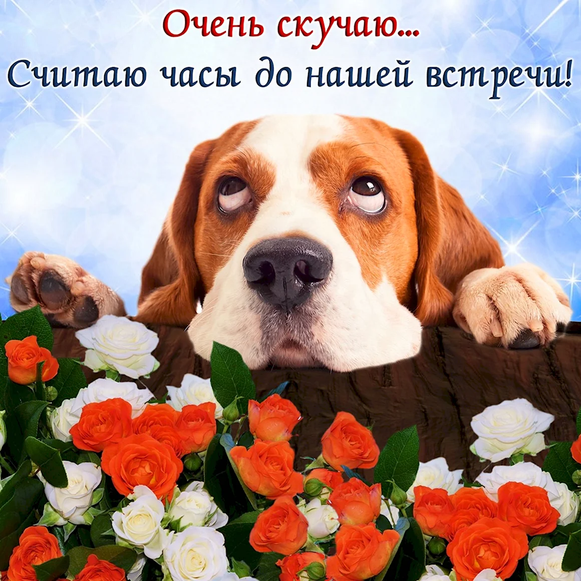 Скучаю
