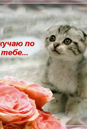 Скучаю по тебе