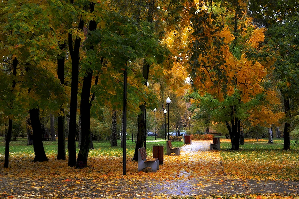 Сквер Москва сентябрь