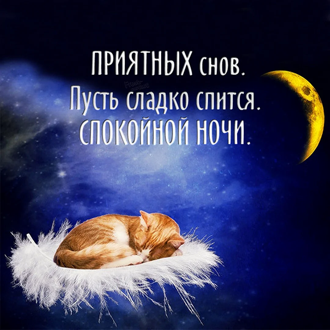 Сладких снов