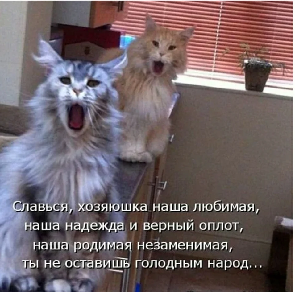 Славься Хозяюшка наша любимая
