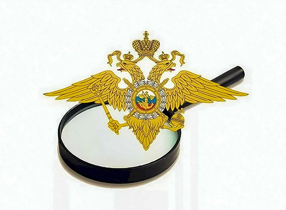 Следственные органы МВД РФ