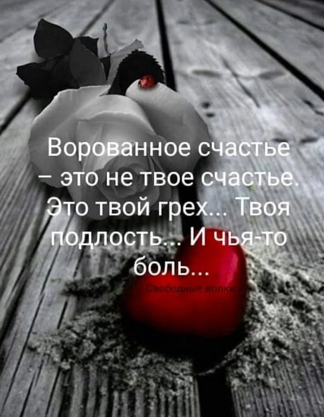 Слова со смыслом про жизнь и любовь